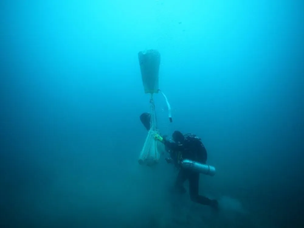 Pirati kradu podvodno crnogorsko blago: Pljačkom u podmorju finansiraju i organizovani kriminal