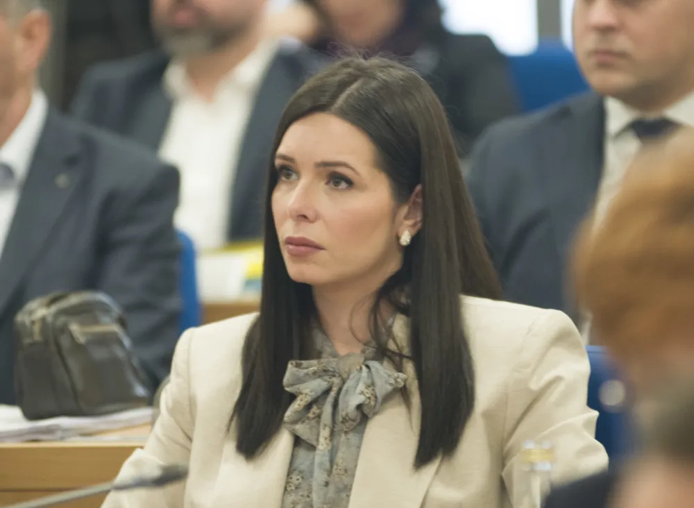 sjednica skupstine glavnog grada