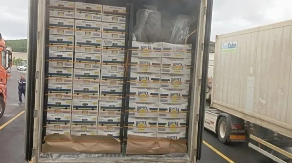 Kokain pornađen među bananama