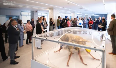 Ćulafić: Aktivno raditi na kreiranju politika koje će očuvati opra&scaron;ivače kroz podr&scaron;ku održivim praksama pčelarenja