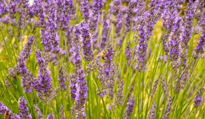 (VIDEO) Sjutra sunčano i uglavnom suvo