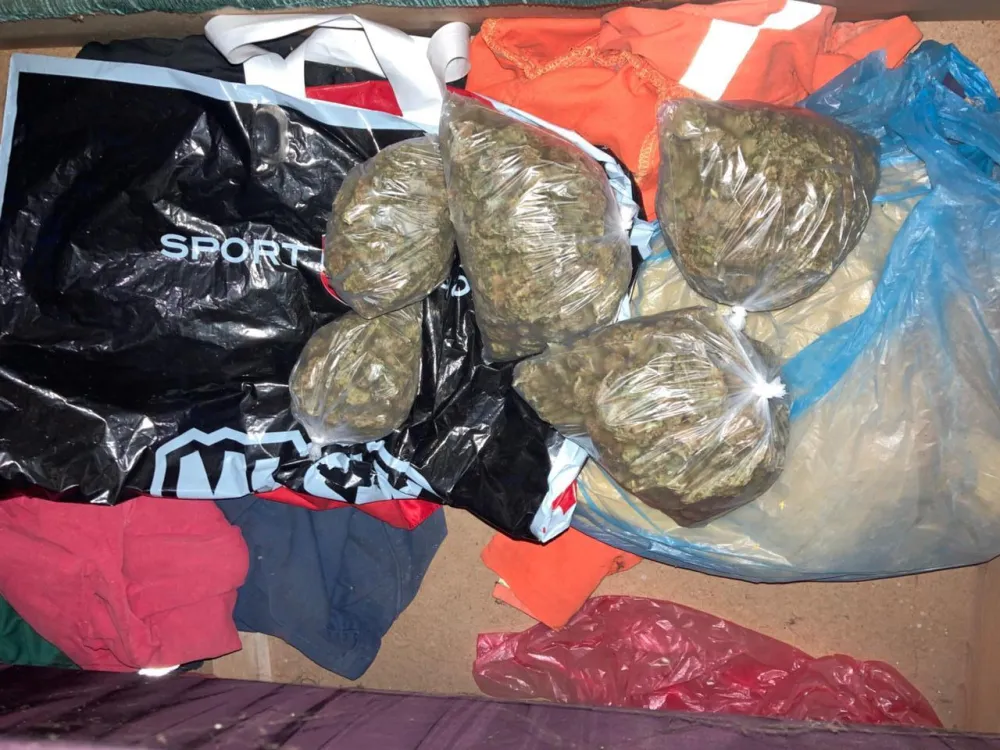 Pljevljak uhap&scaron;en, držao pola kg marihuane u stanu