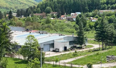 Od investicionog buma do zatvorenih pogona Fabrike peleta