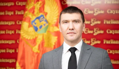 Dražen Petrić, poslanik PES-a