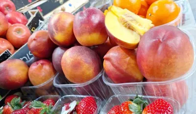 Kilogram nektarina deset eura