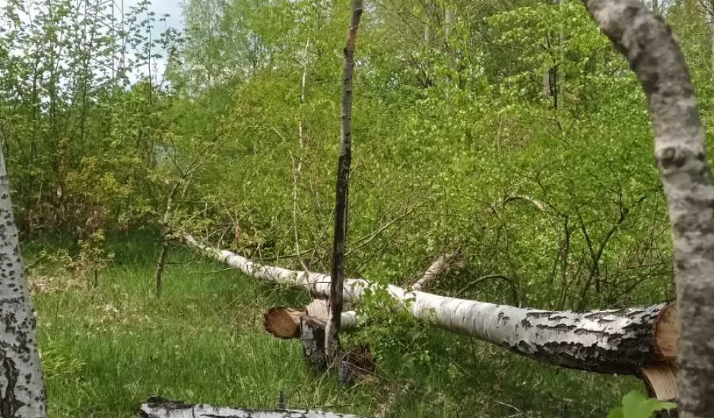 Mje&scaron;tani Gornjih Brezana: CGES u tajnosti sprema raseljavanje najljep&scaron;eg sela u Pivi, to nećemo dozvoliti