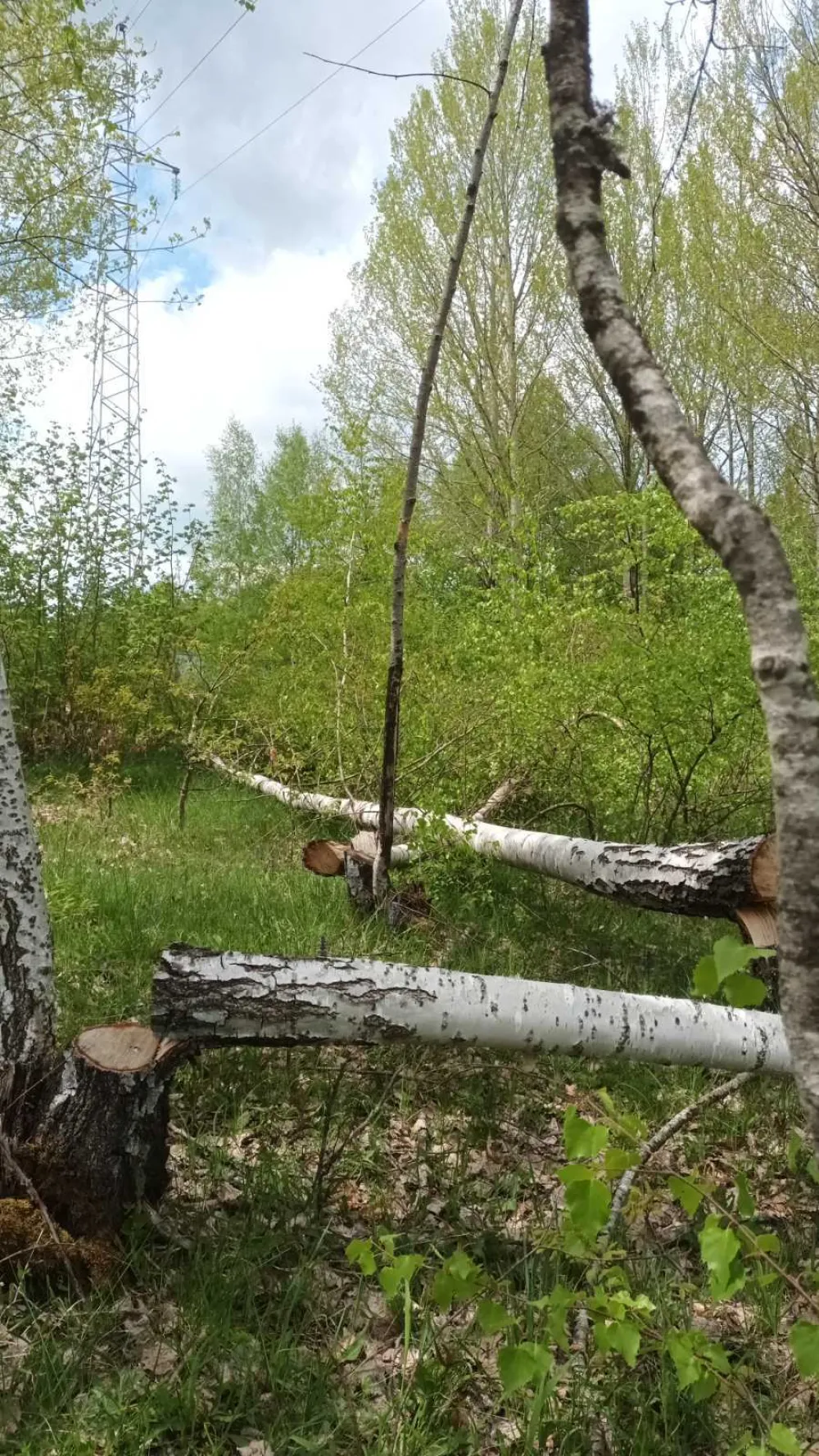 Mje&scaron;tani Gornjih Brezana: CGES u tajnosti sprema raseljavanje najljep&scaron;eg sela u Pivi, to nećemo dozvoliti