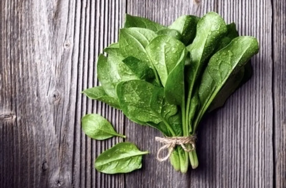 Dvije vrste hrane koje ne bi trebalo podgrijavati