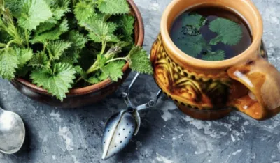 Ove tri ljekovite biljke su izuzetno moćne: Jačaju imunitet i vraćaju energiju