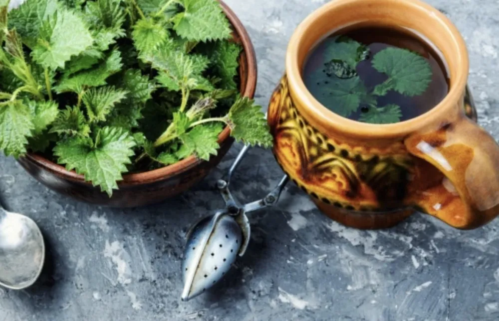 Ove tri ljekovite biljke su izuzetno moćne: Jačaju imunitet i vraćaju energiju