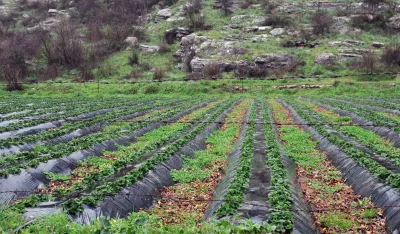 Poljoprivrednici u Tuzima čekaju agrobudžet