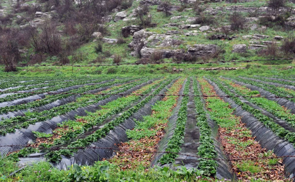 Poljoprivrednici u Tuzima čekaju agrobudžet