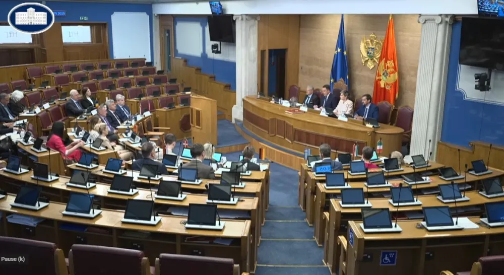 (VIDEO) Satler:&nbsp;&nbsp;Ubrzati zakonodavne reforme, izbjegnite podjele; Vuković: Crna Gora ima istorijsku priliku