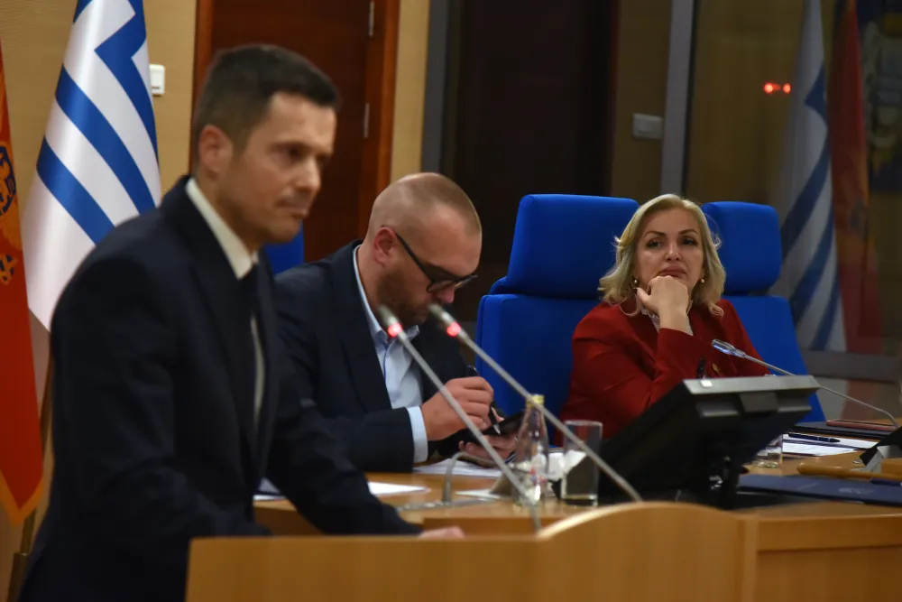 Jelena Borovinic Bojovic, Izbor Sase Mujovica za gradonacelnika Podgorice