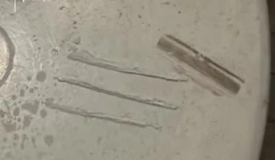 FOTO: Uprava policije -  Budva