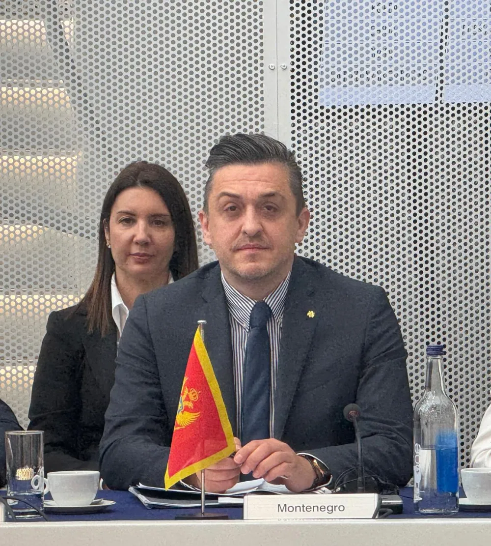 Vuković u Londonu: Vlada Crne Gore posvećena EU integracijama i održivom ekonomskom razvoju