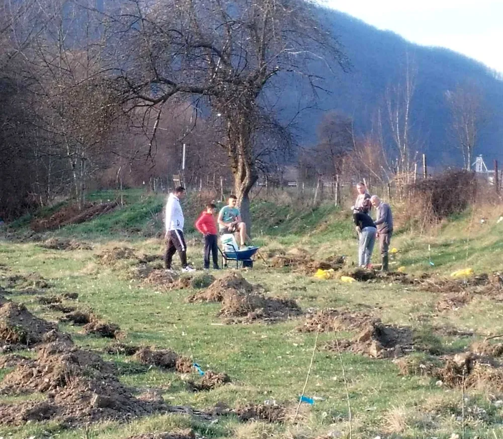 Voćnjak znanja u &scaron;kolskom dvori&scaron;tu O&Scaron; &bdquo;Pavle Žižić&rdquo;