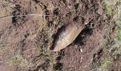 U selu Nedajno pronađena avionska bomba: Trag Pete neprijateljske ofanzive