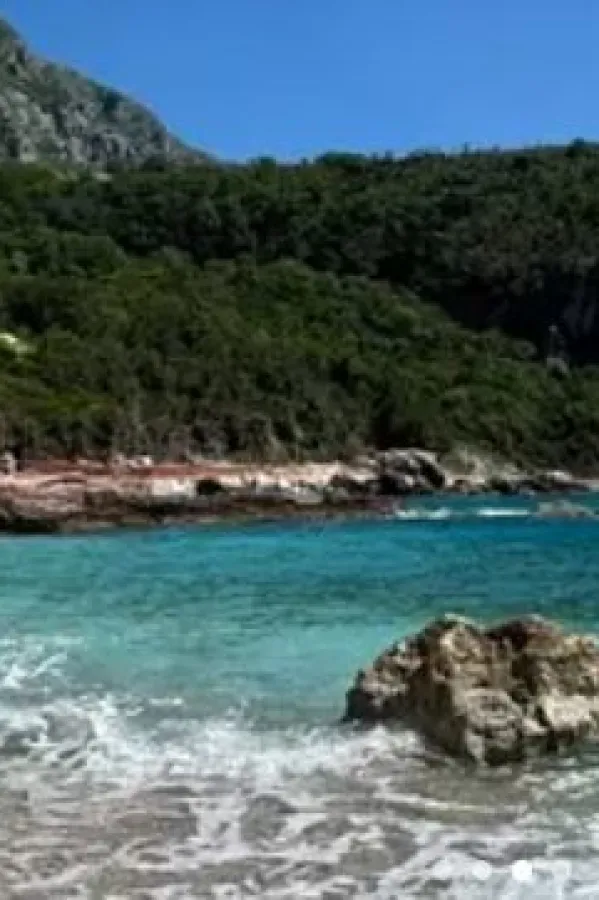 Crvena glavica
