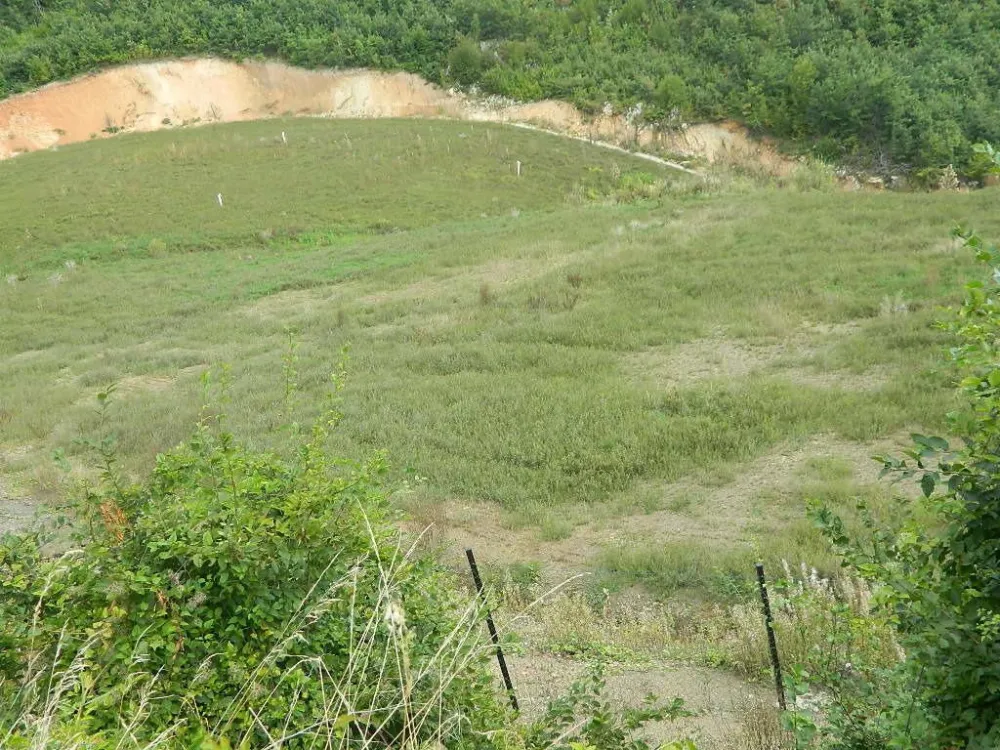 Proma&scaron;eni projekat na Vasovim vodama "progutao" tri miliona