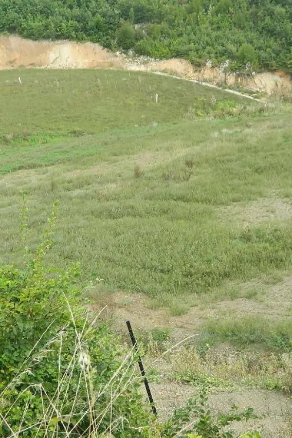Proma&scaron;eni projekat na Vasovim vodama "progutao" tri miliona