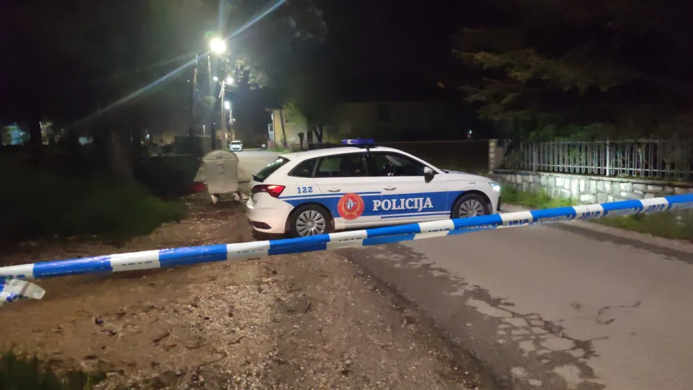 Svjedoci u istrazi o ubistvu&nbsp;Bogdanovića: Sam je birao put do kuće, nije sjedio s kriminalcima