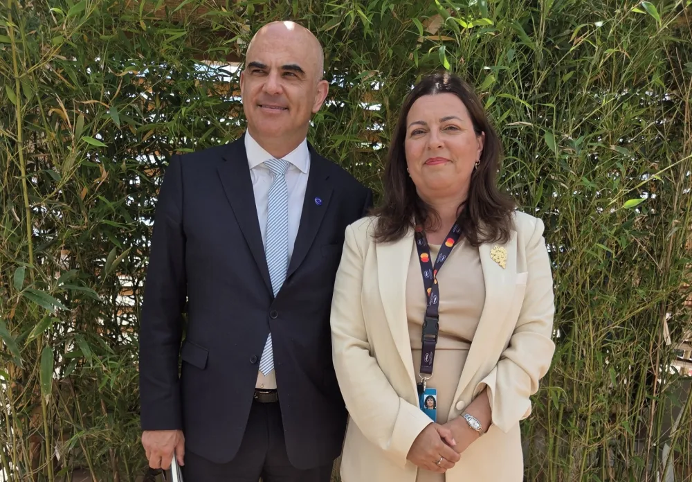 Vujović sa generalnim sekretarom SE: Crna Gora ostaje posvećena medijskim slobodama i evropskim standardima