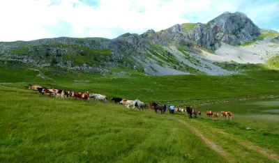 Sedma inicijativa Vladi: Sinjajevina mora biti za&scaron;tićena, a odluka o vojnom poligonu poni&scaron;tena
