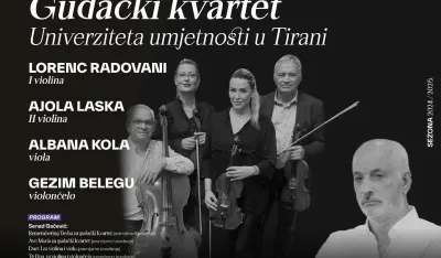 Djela Senada Gačevića