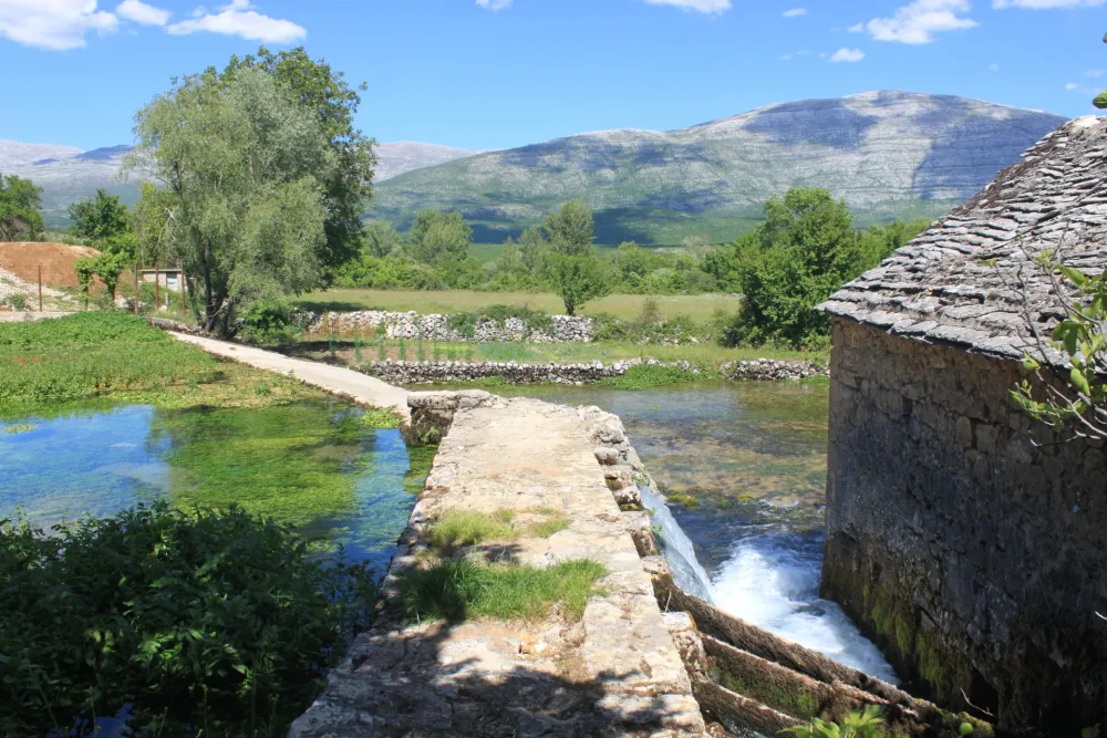 Sanja Bjelobrk sa 88 glasova nova gradonačelnica op&scaron;tine Civljane, imaće 2.000 eura platu