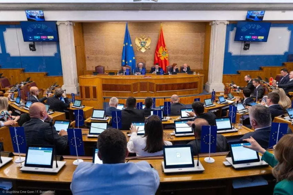 O inicijativi za razrje&scaron;enje Andrije Mandića 29. maja