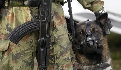 Burne reakcije u Srbiji zbog oglasa o prodaji pasa za 400 do 3.000 dinara, MO tvrdi da je cijena simbolična da bi ih &scaron;to prije udomili