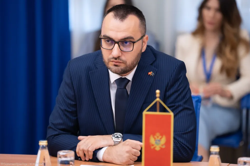 Stjepović: Proslava u restoranu &ldquo;Grahovac&rdquo; predstavlja vrhunac moralnog sunovrata DPS-a