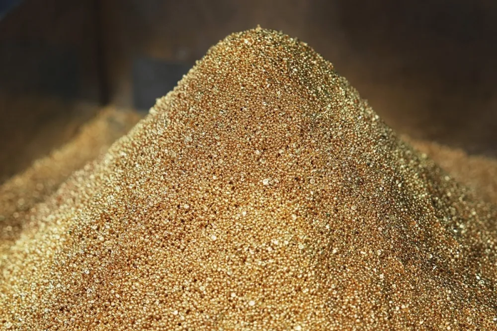 Francuski seljak na imanju otkrio zlato vrijedno milijarde eura