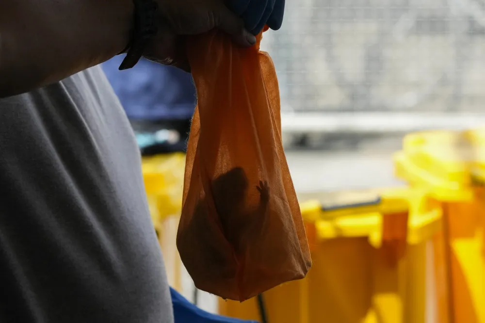 Tužila&scaron;tvo formiralo predmet zbog zarazne bolesti otkrivene u Sarajevu