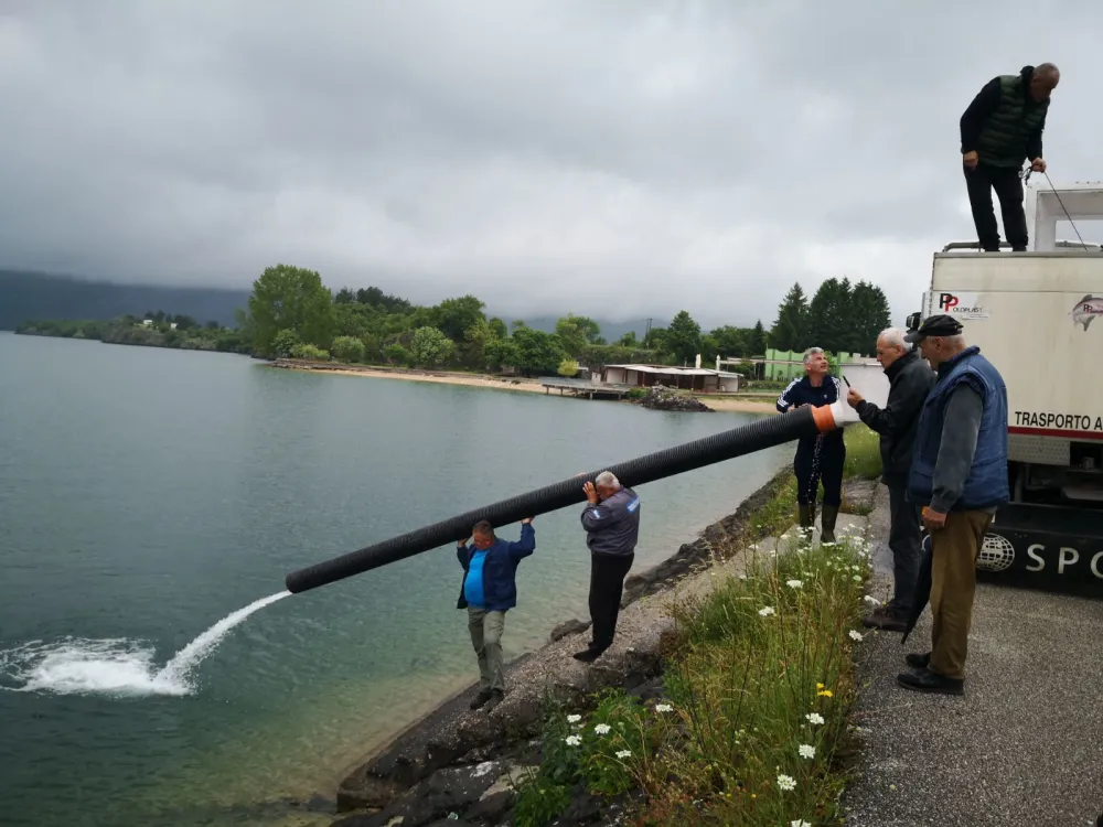 U tri nik&scaron;ićka jezera pu&scaron;teno oko sedam tona pastrmke