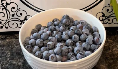 Hrana za zdrave bubrege