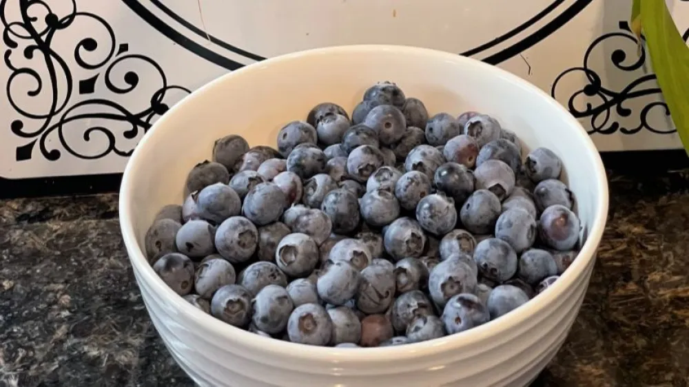 Hrana za zdrave bubrege