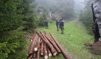 (FOTO) Bespravna sječa &scaron;ume u NP Prokletije