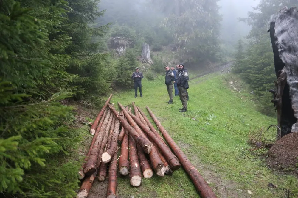 (FOTO) Bespravna sječa &scaron;ume u NP Prokletije