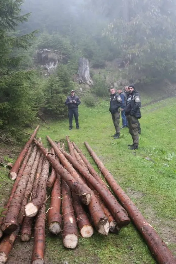 (FOTO) Bespravna sječa &scaron;ume u NP Prokletije