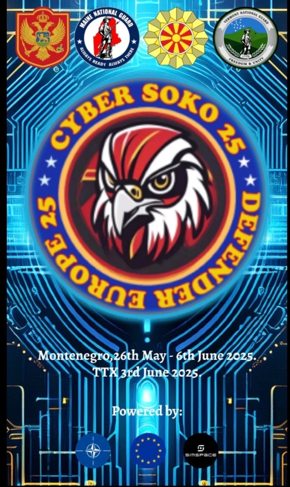 "Cyber ​​Soko 25"