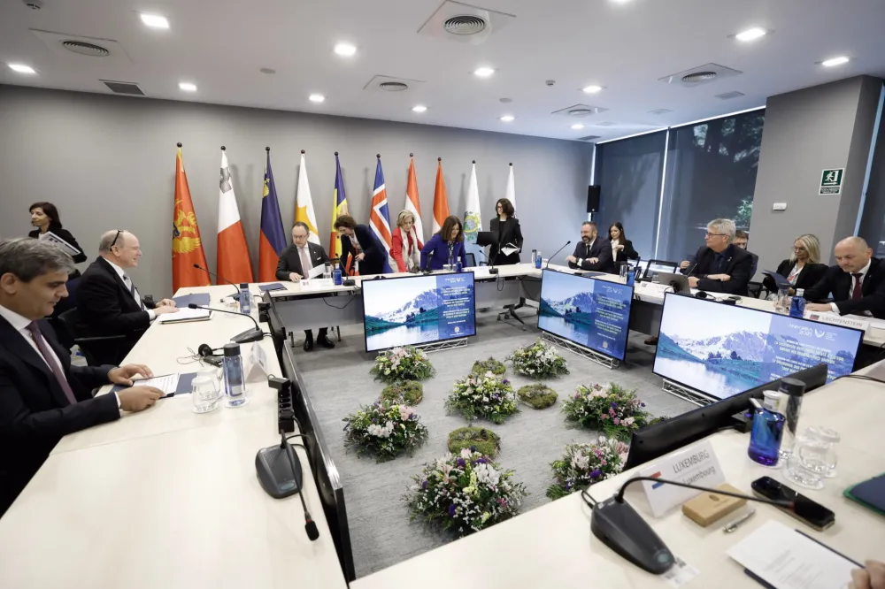 Ibrahimović: Bliskom saradnjom malih država do bolje otpornosti na globalne&nbsp;izazove