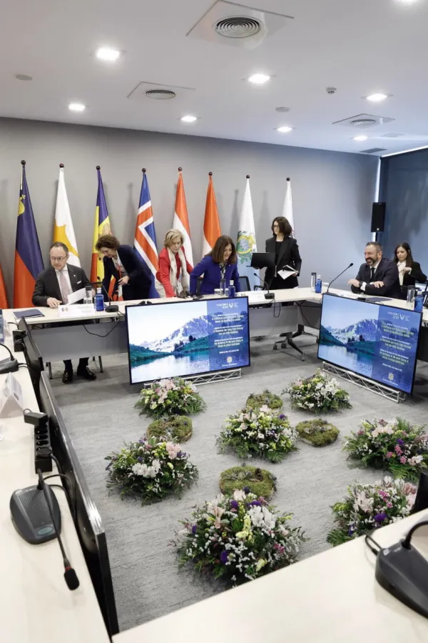 Ibrahimović: Bliskom saradnjom malih država do bolje otpornosti na globalne&nbsp;izazove
