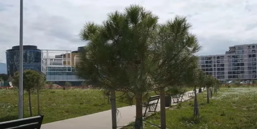 &bdquo;Eurozox&ldquo;: Nismo uzurpatori već vlasnici parcele, ozelenili smo 25 hektara univerzitetskog kampusa