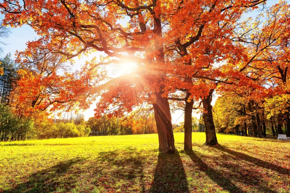 Sjutra umjereno oblačno sa dužim periodima sunčanog vremena