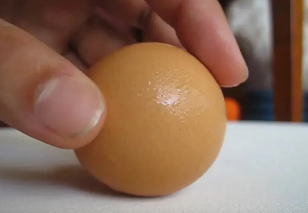 Okruglo jaje pronađeno u Britaniji