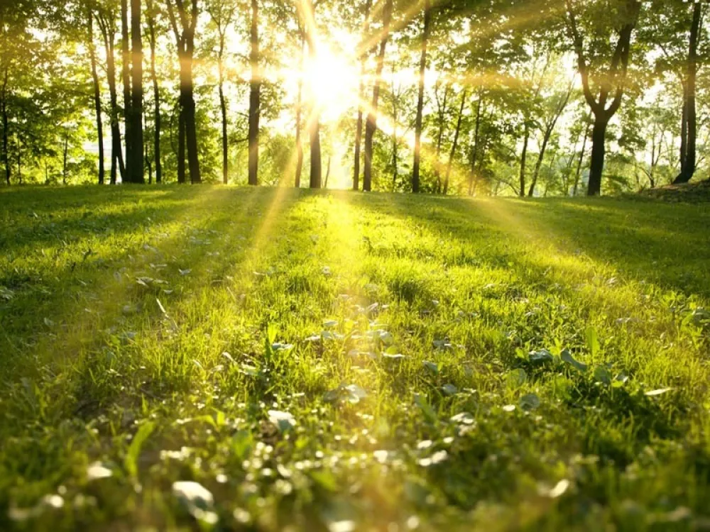 Danas na jugu sunčano, na sjeveru promjenljivo oblačno