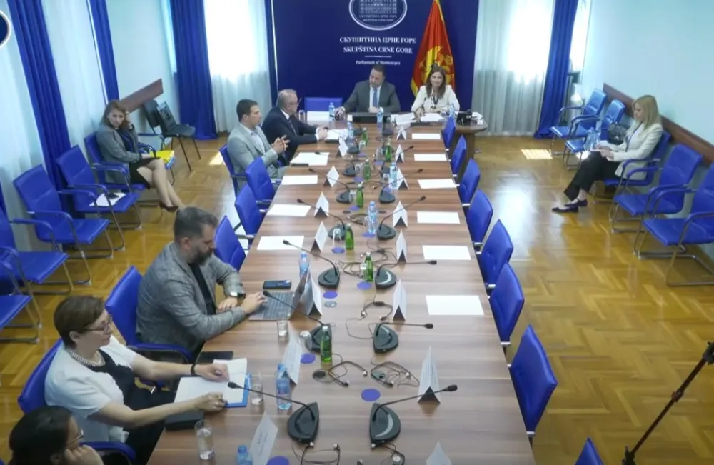 (VIDEO) Ćalović Marković: Predstavnici EU vide da je Sporazum sa UAE opasan posao za Crnu Goru