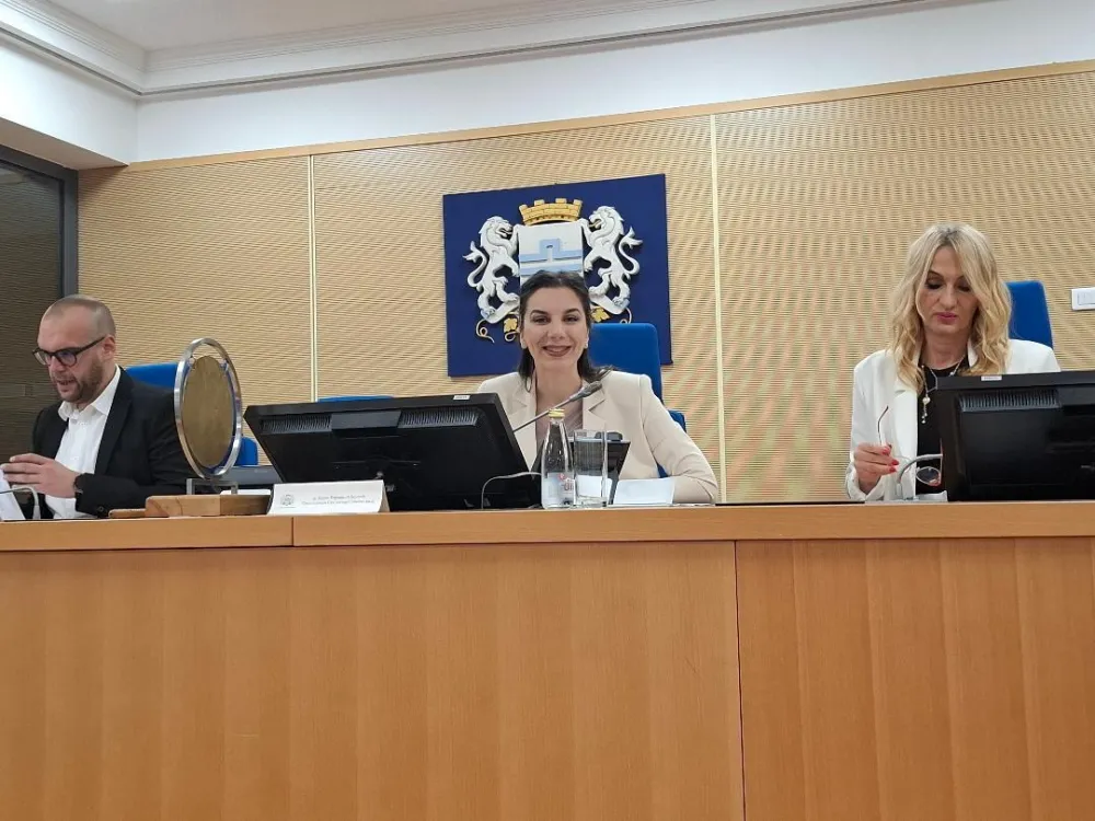 Clanovi odbora za izbor i imenovanje